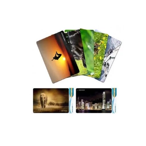 Esperanza egérpad, vegyes mintával (EA133)