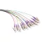 Logilink Színes Pigtail szett 12 x LC, OM4 50/125 , 2m, lila (FL4LC02)