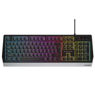   GENESIS RHOD 300 GAMER BILLENTYŰZET, RGB, US KIOSZTÁSÚ, HÁTTÉRVILÁGÍTÁSSAL (NKG-1528)