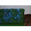 Solar fényfüzér 6.4m 50led, Grundig (SOL261515)